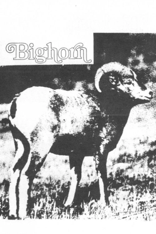 Bighorn