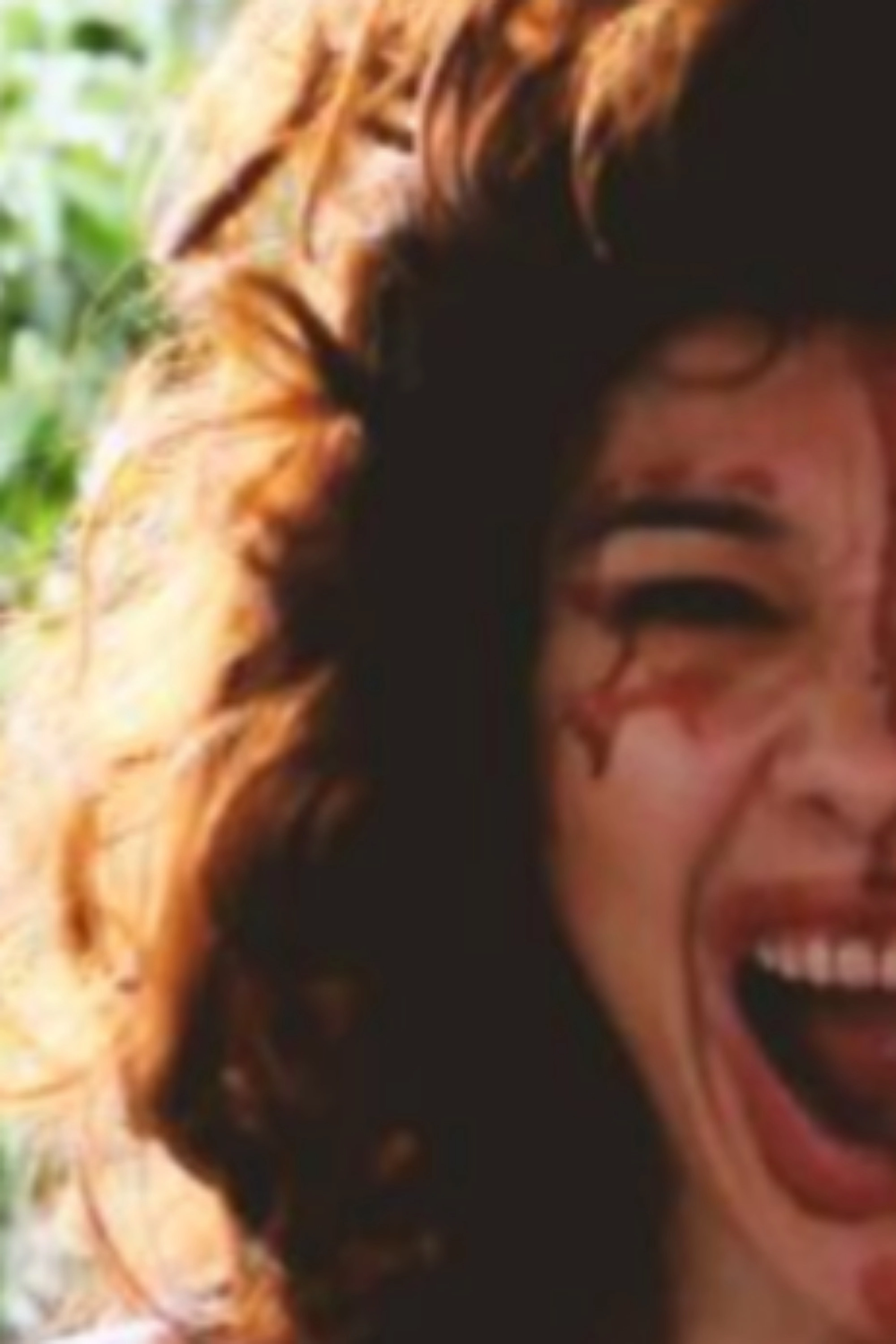 Sou Sangue
