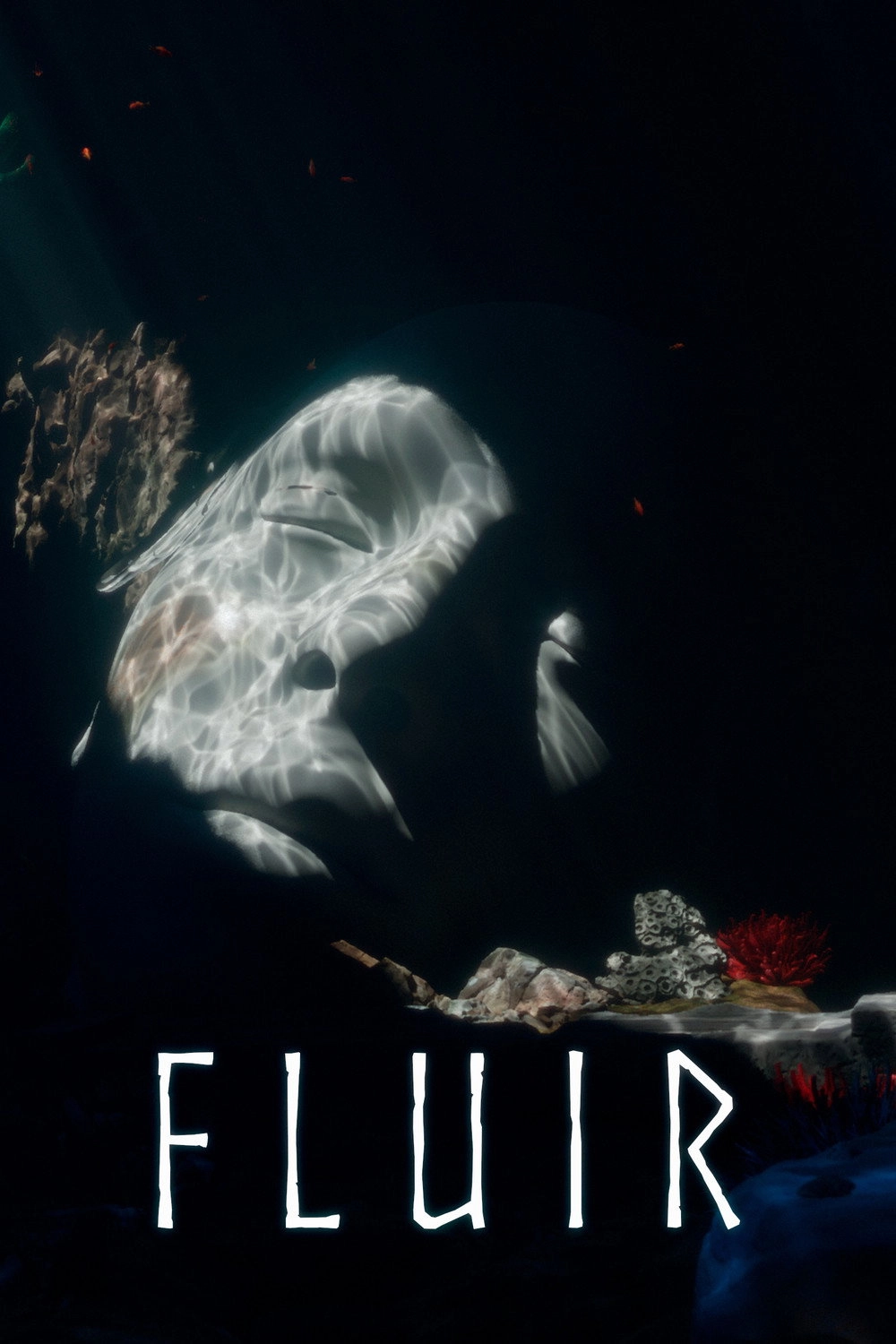Fluir