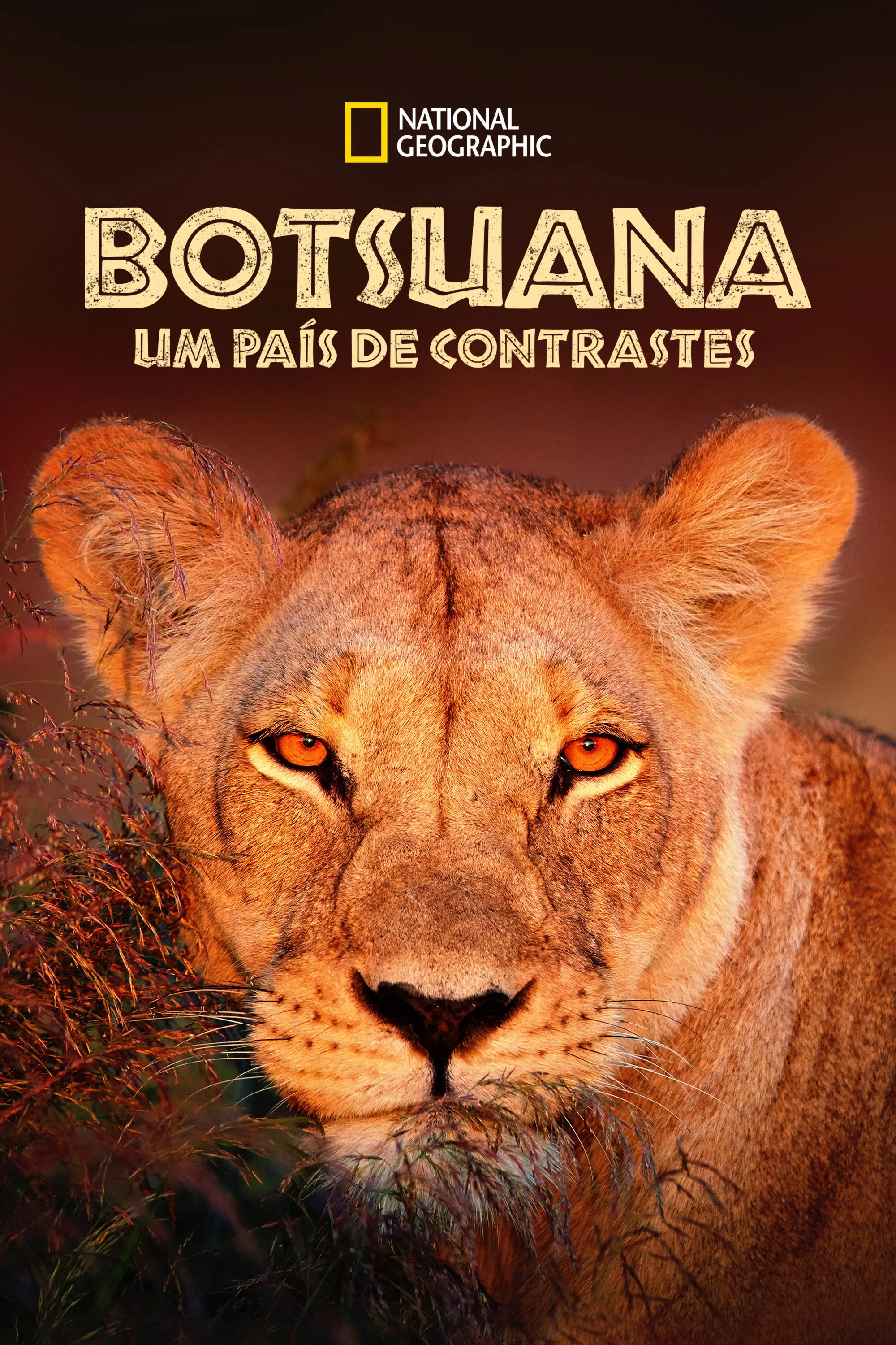 Wild Botswana