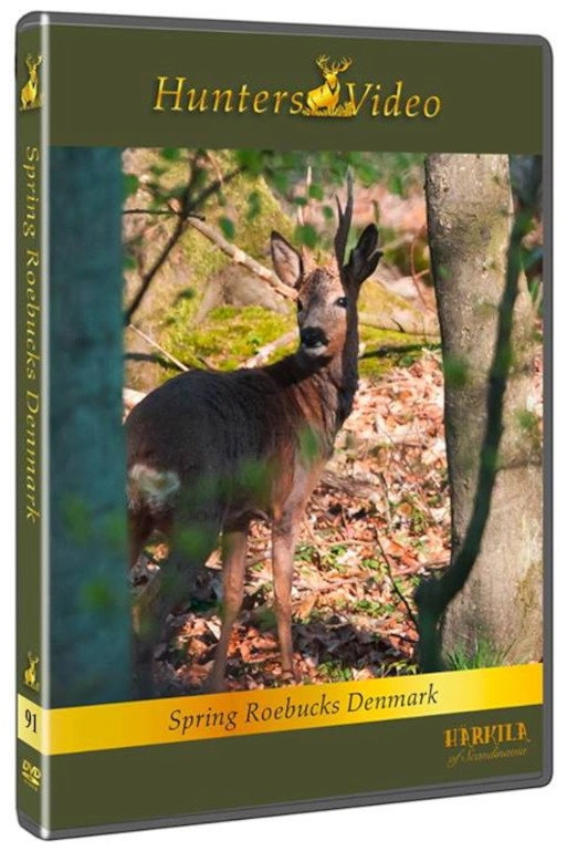 Spring Roebucks Denmark