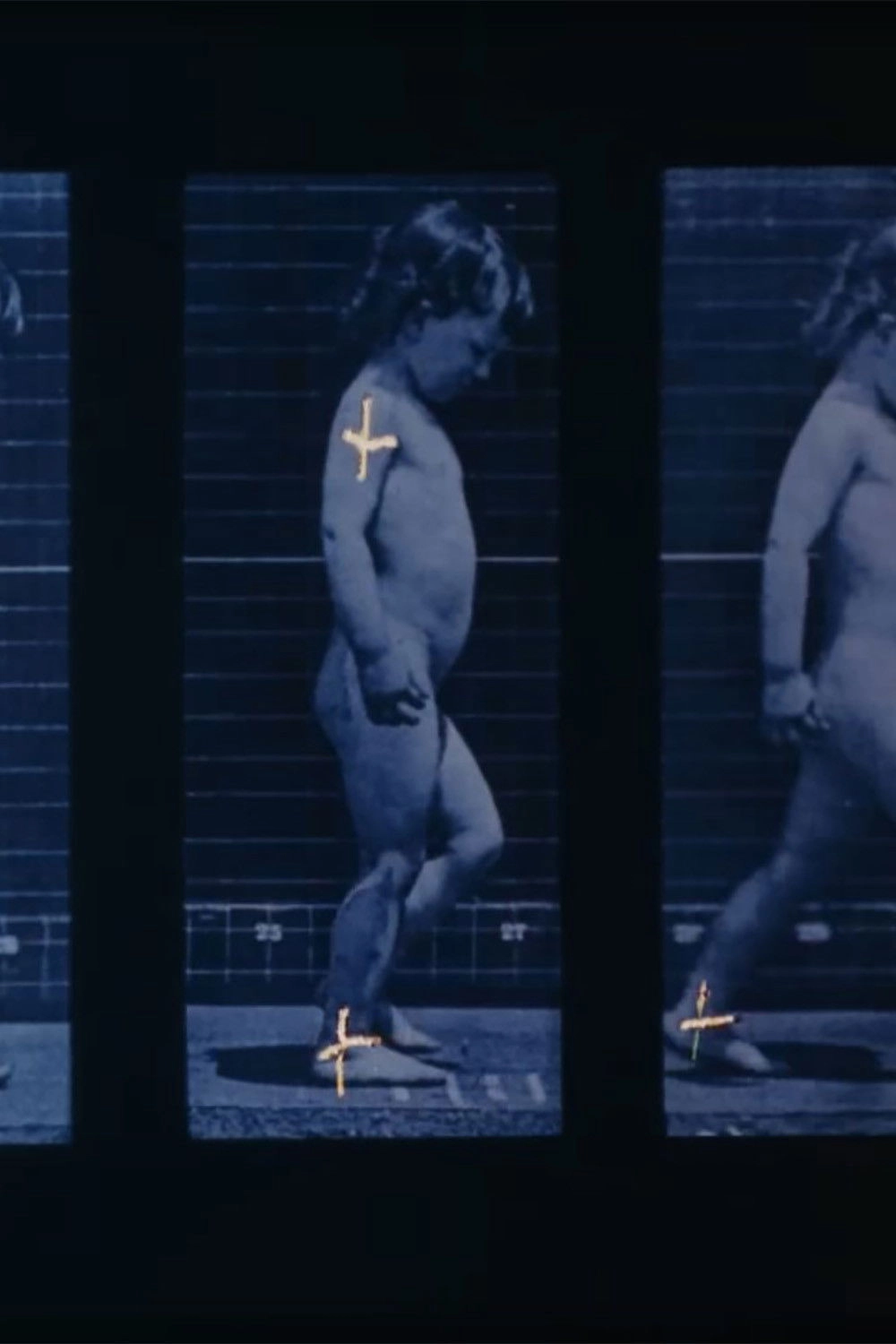 Muybridge