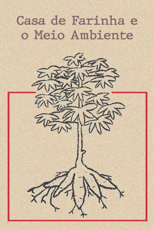 Casa de Farinha e o Meio Ambiente