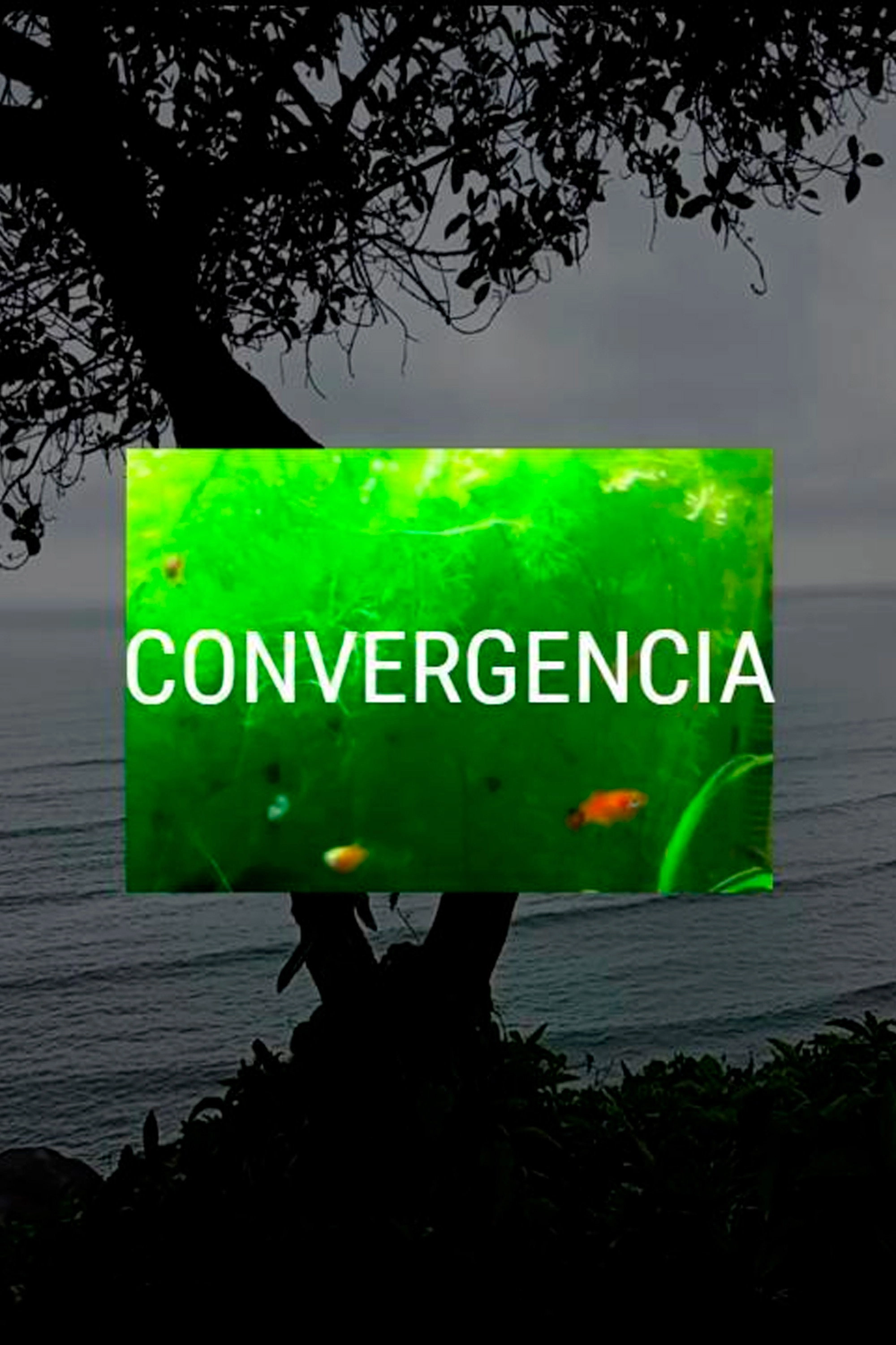 Convergencia