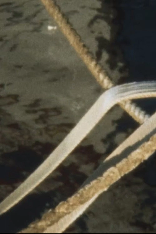 Harbour Film