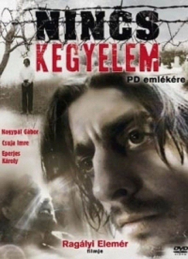 Nincs kegyelem