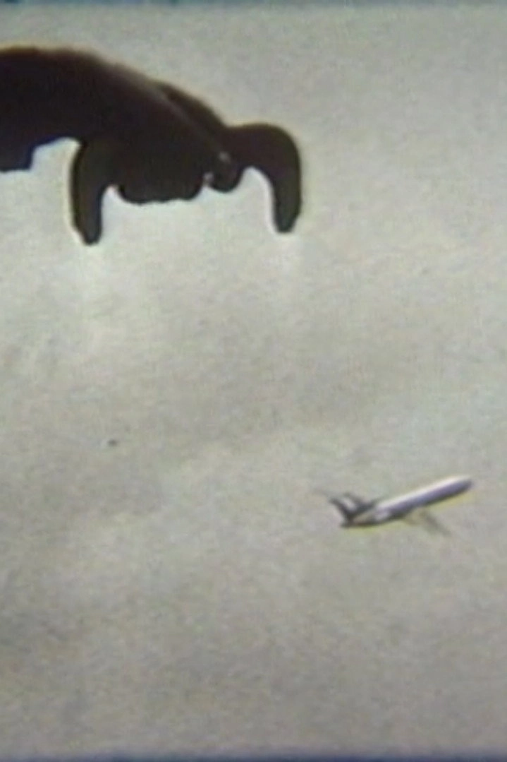 Flying