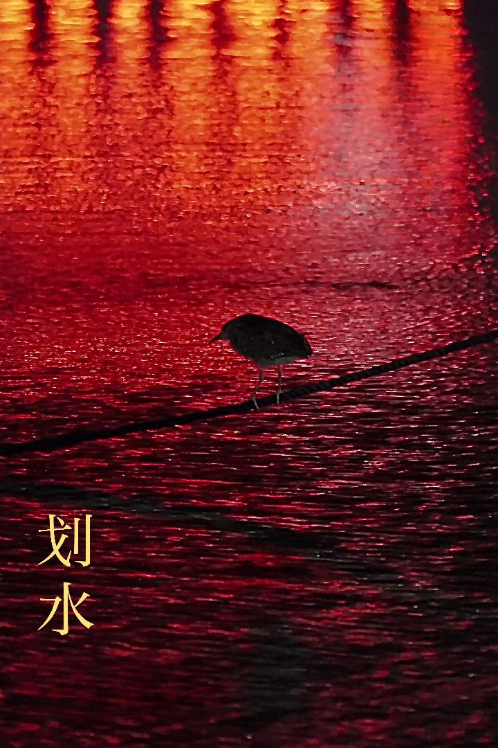 Rowing
