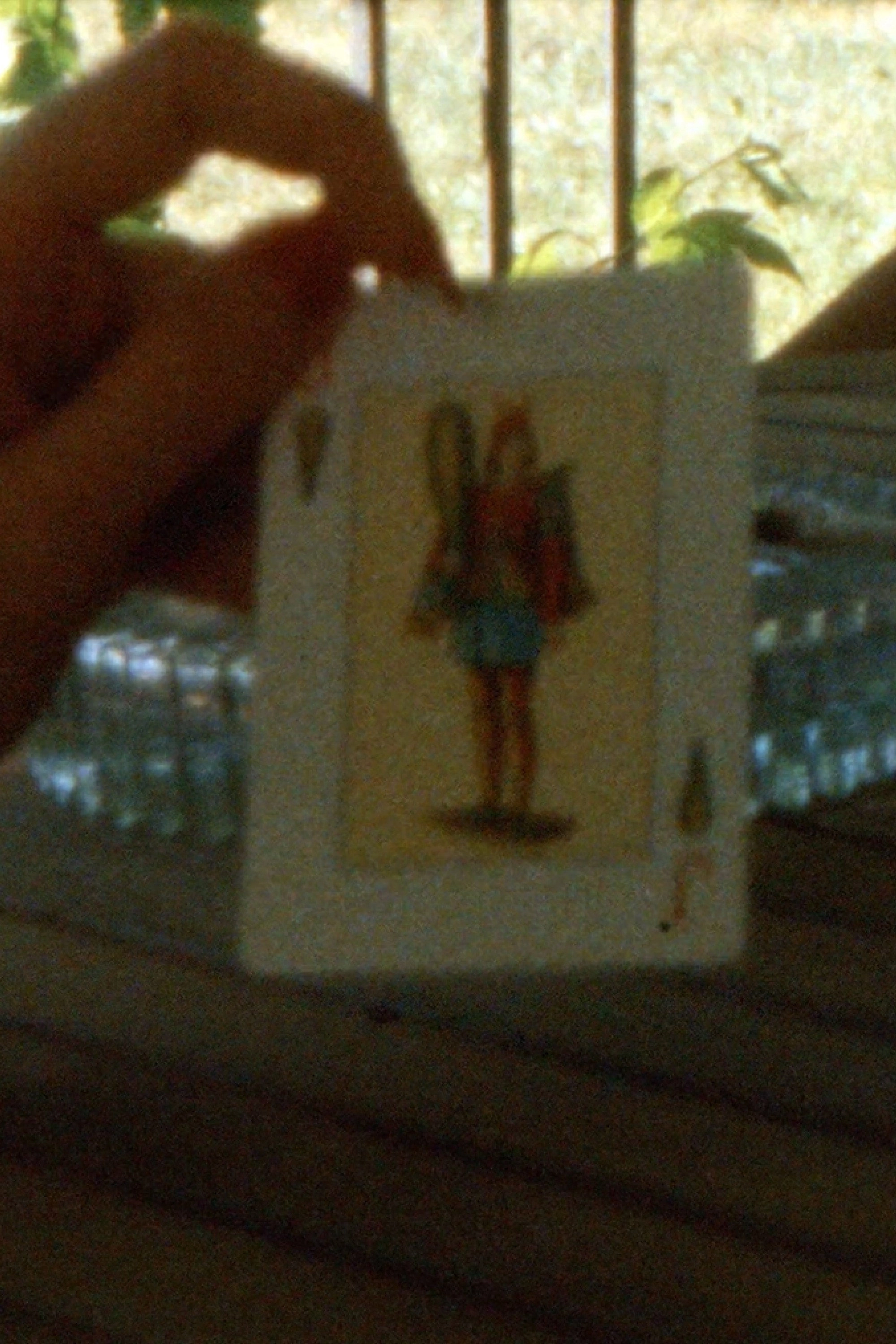 La Pocha Film