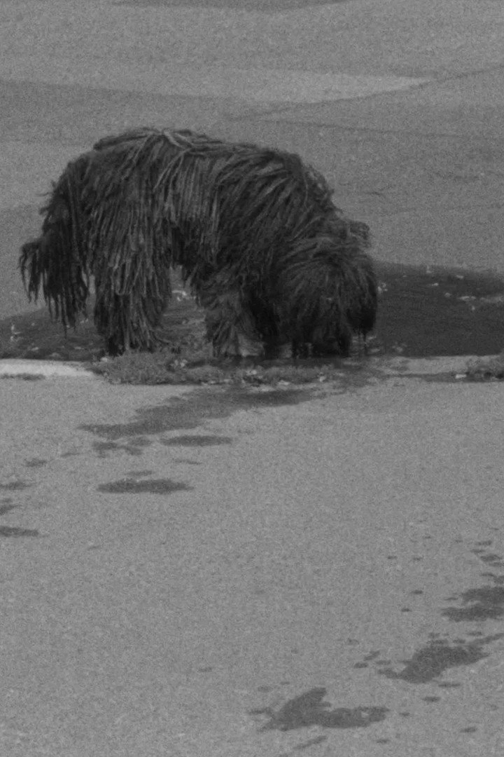 Puddles, I Don't Know