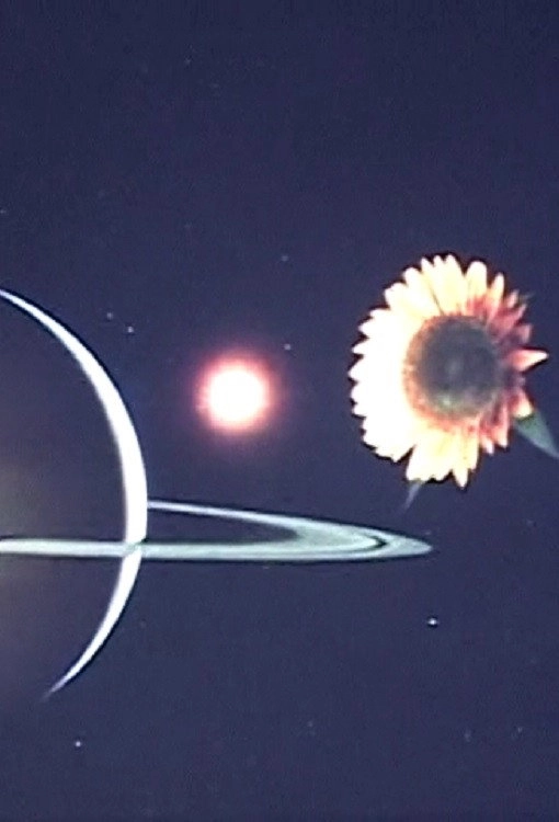 Cosmic Emptiness
