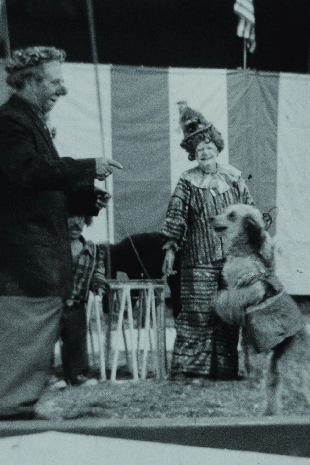 Circus