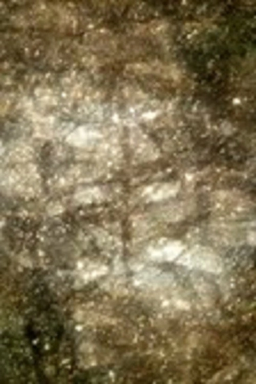 KONTRAST