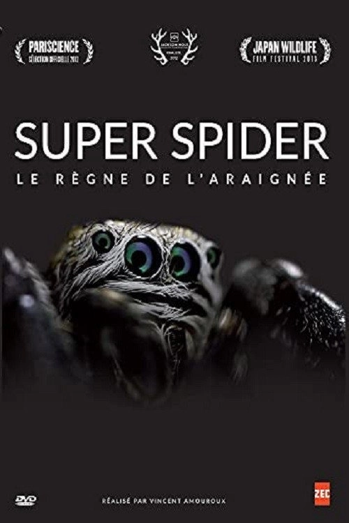 Le Règne de l'araignée