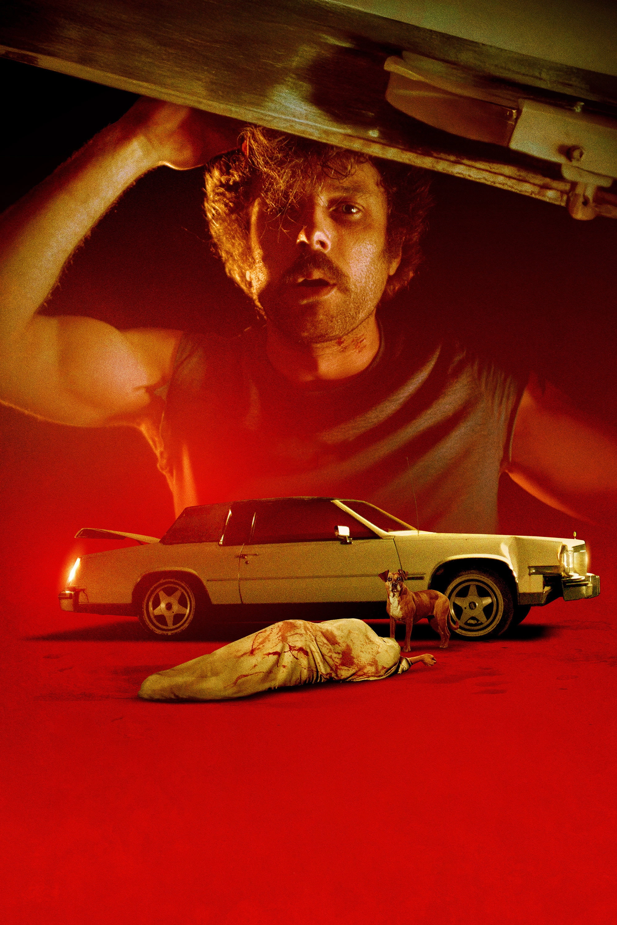 Body in the Trunk