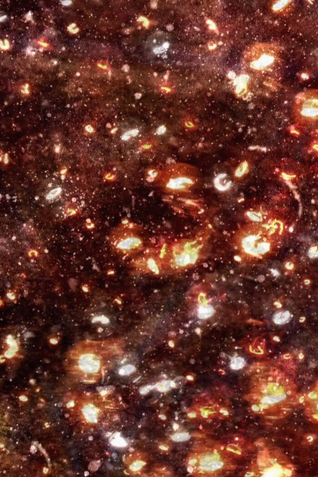 The Picture from Darkness