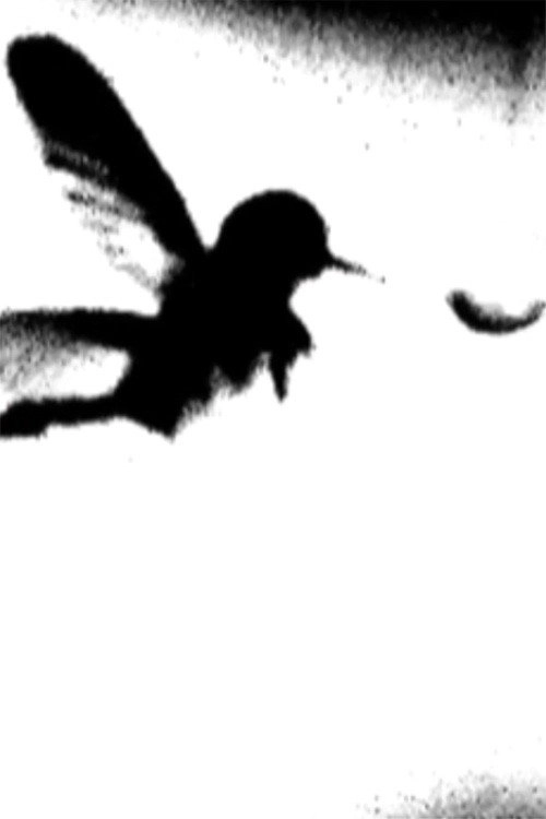 Xarussell
