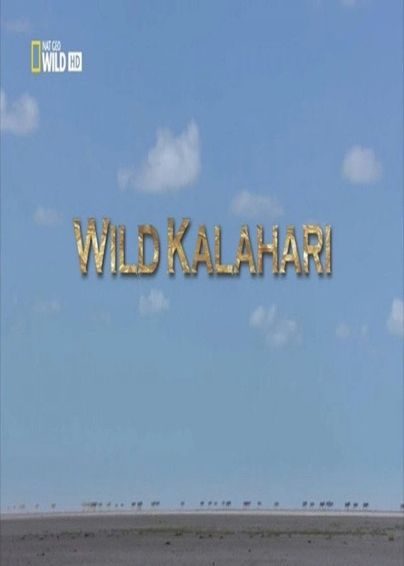 Wild Kalahari