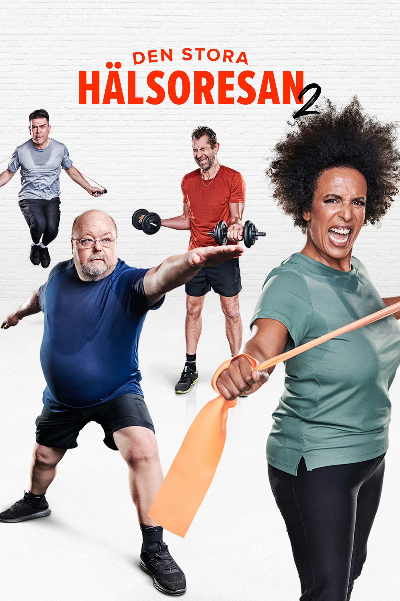 Den stora hälsoresan