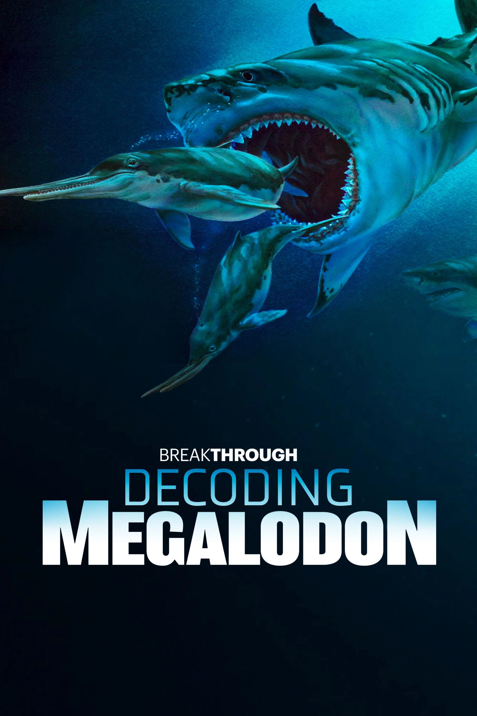Decoding Megalodon
