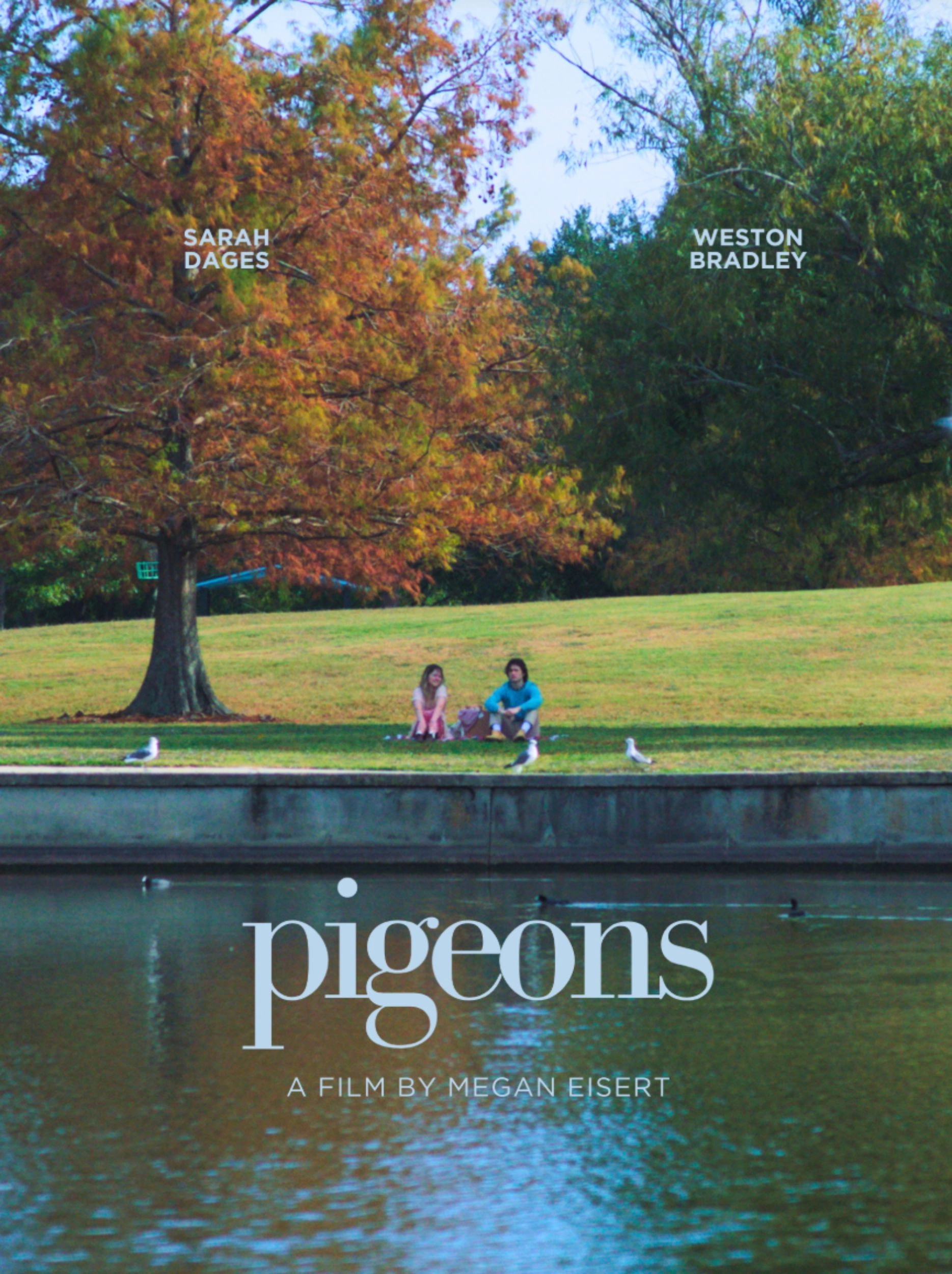 Pigeons