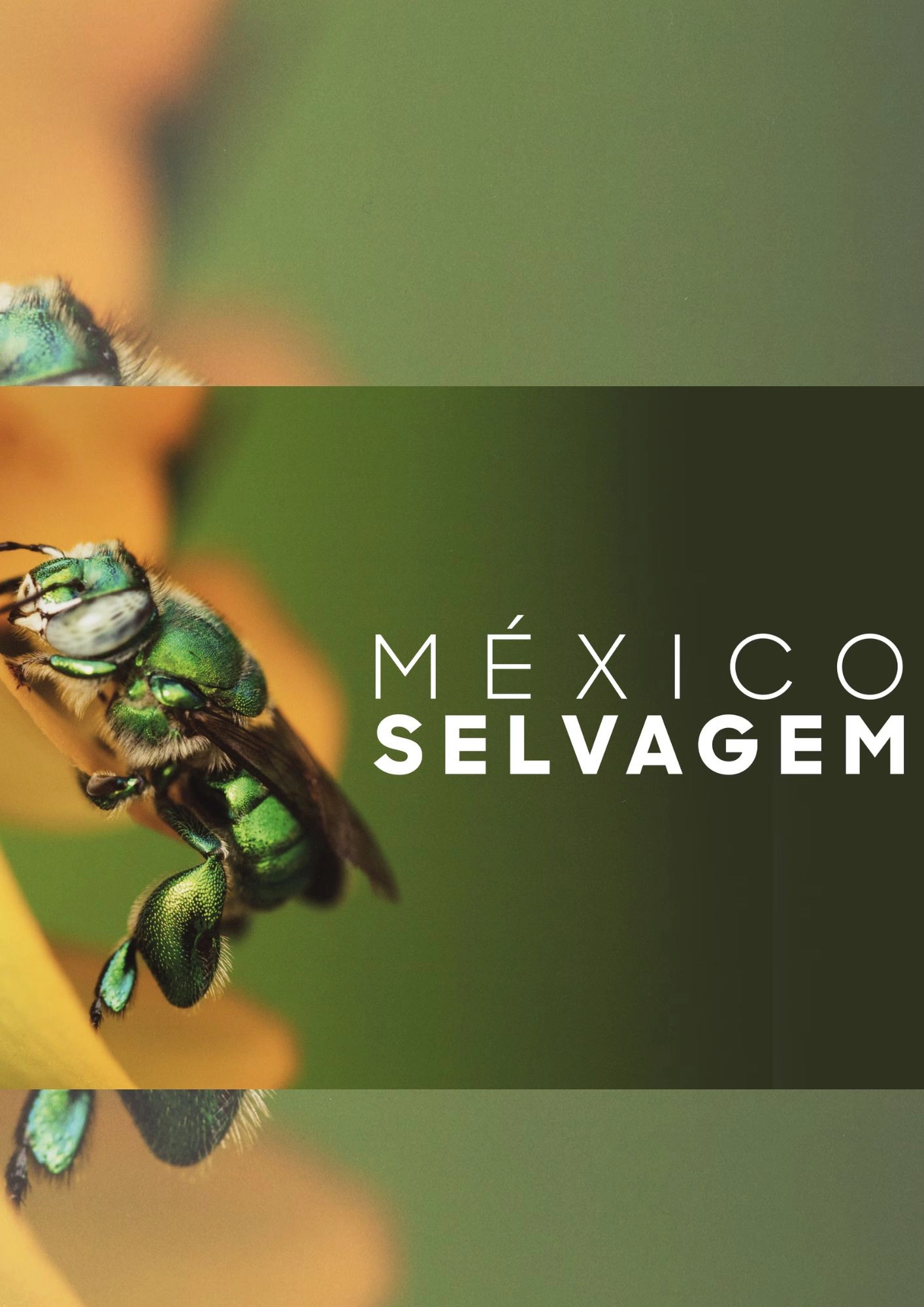 México Selvagem