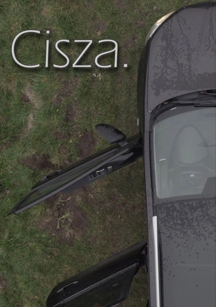 Cisza