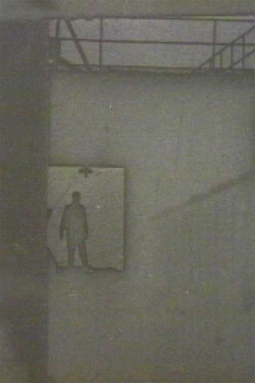 Copyright 1980