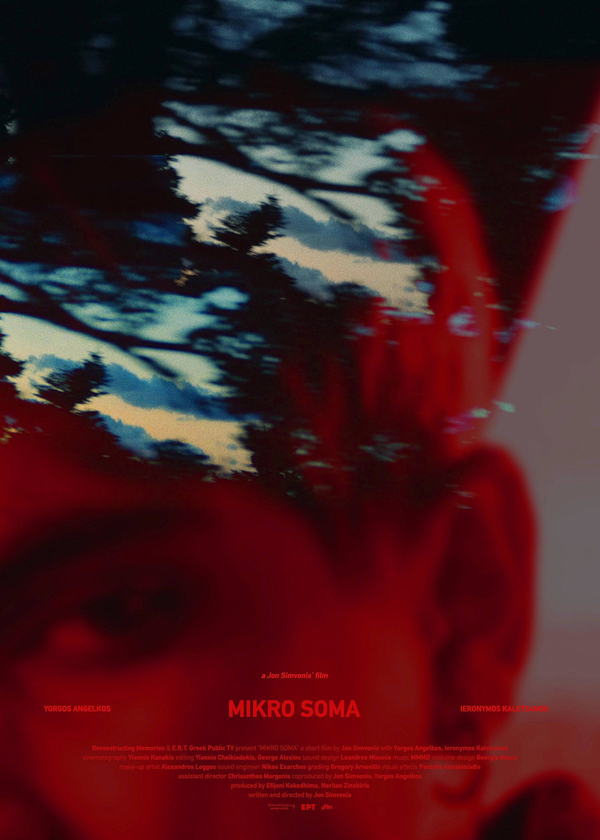 Mikro Soma