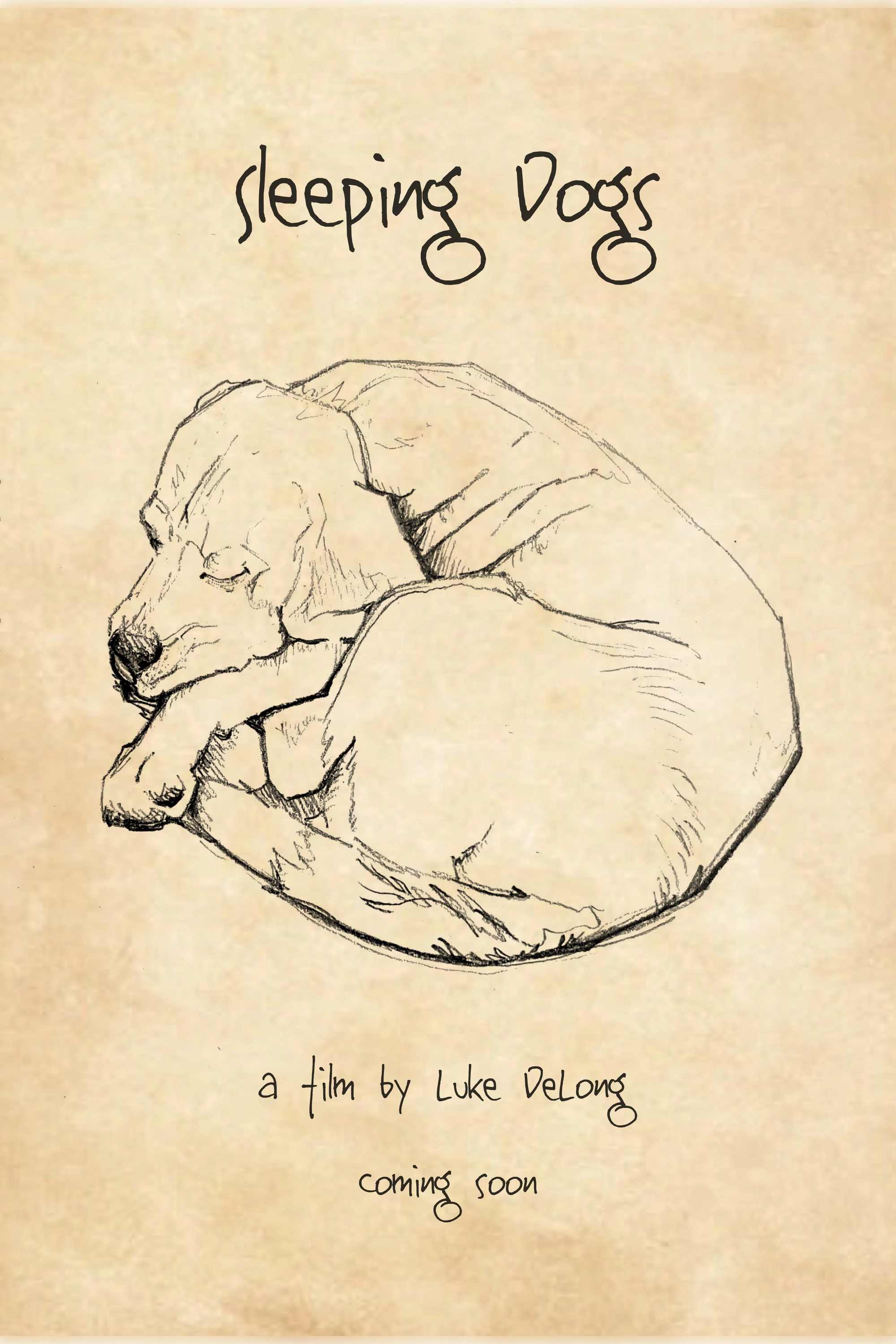 Sleeping Dogs