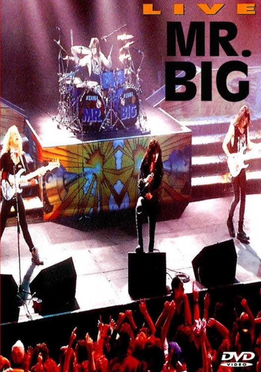 Mr. Big: Live