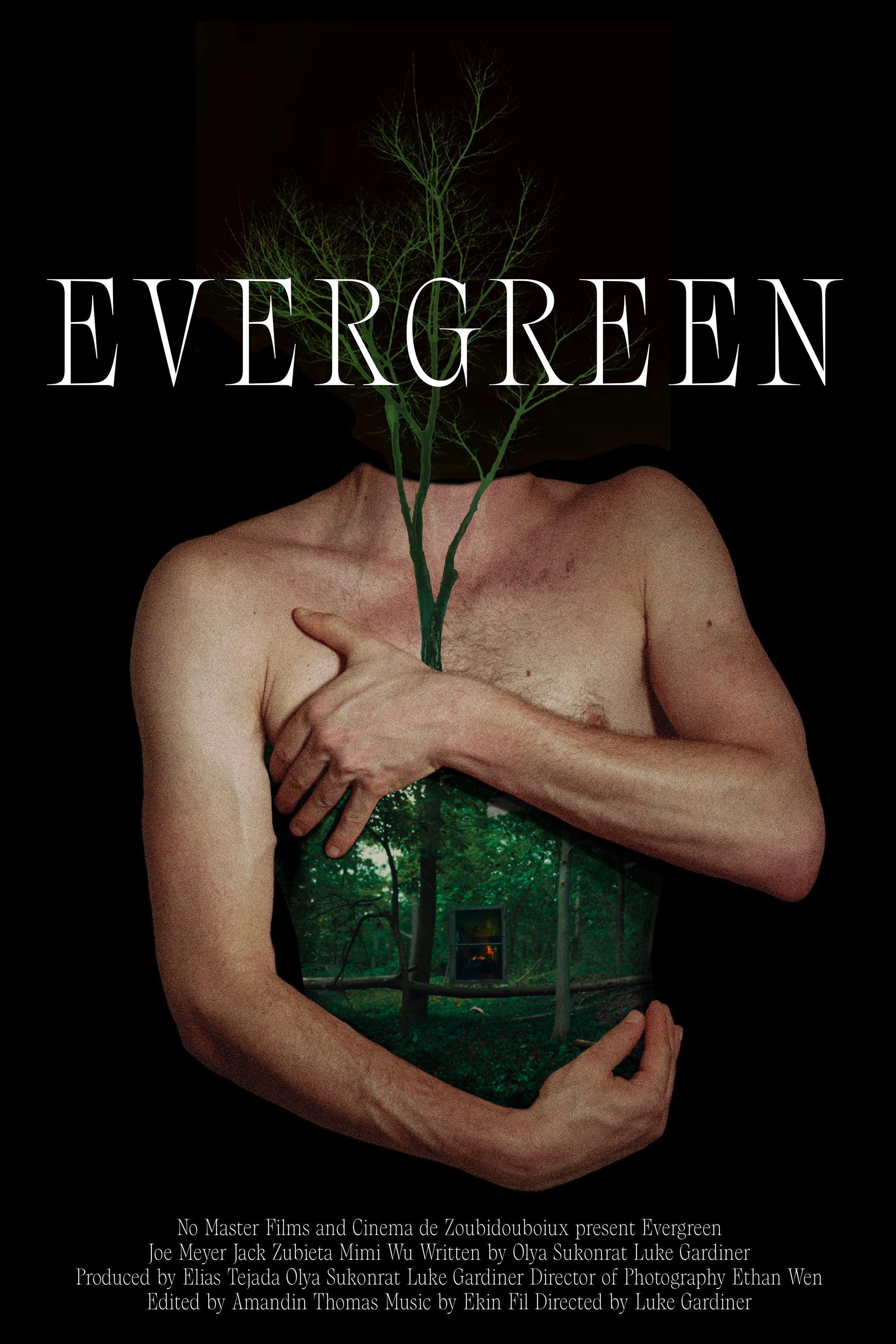 Evergreen