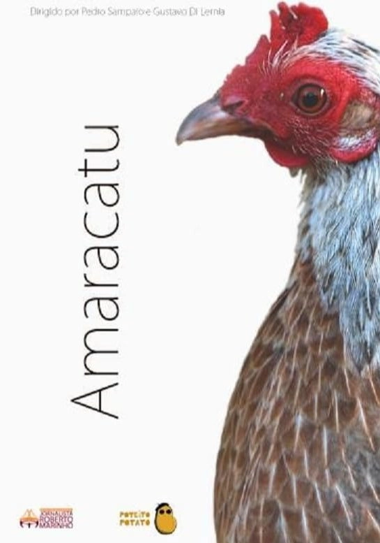 Amaracatu