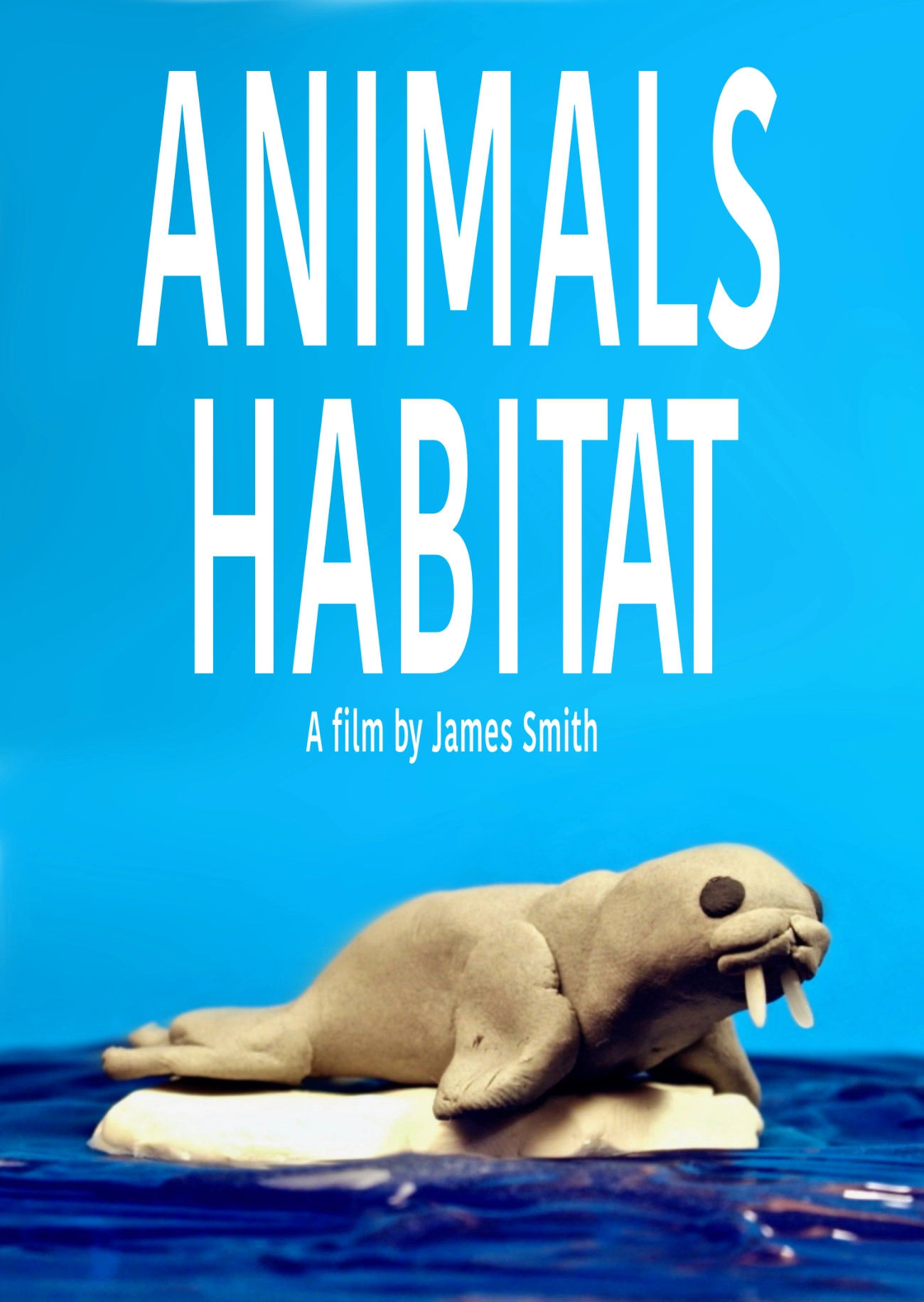 Animals Habitat