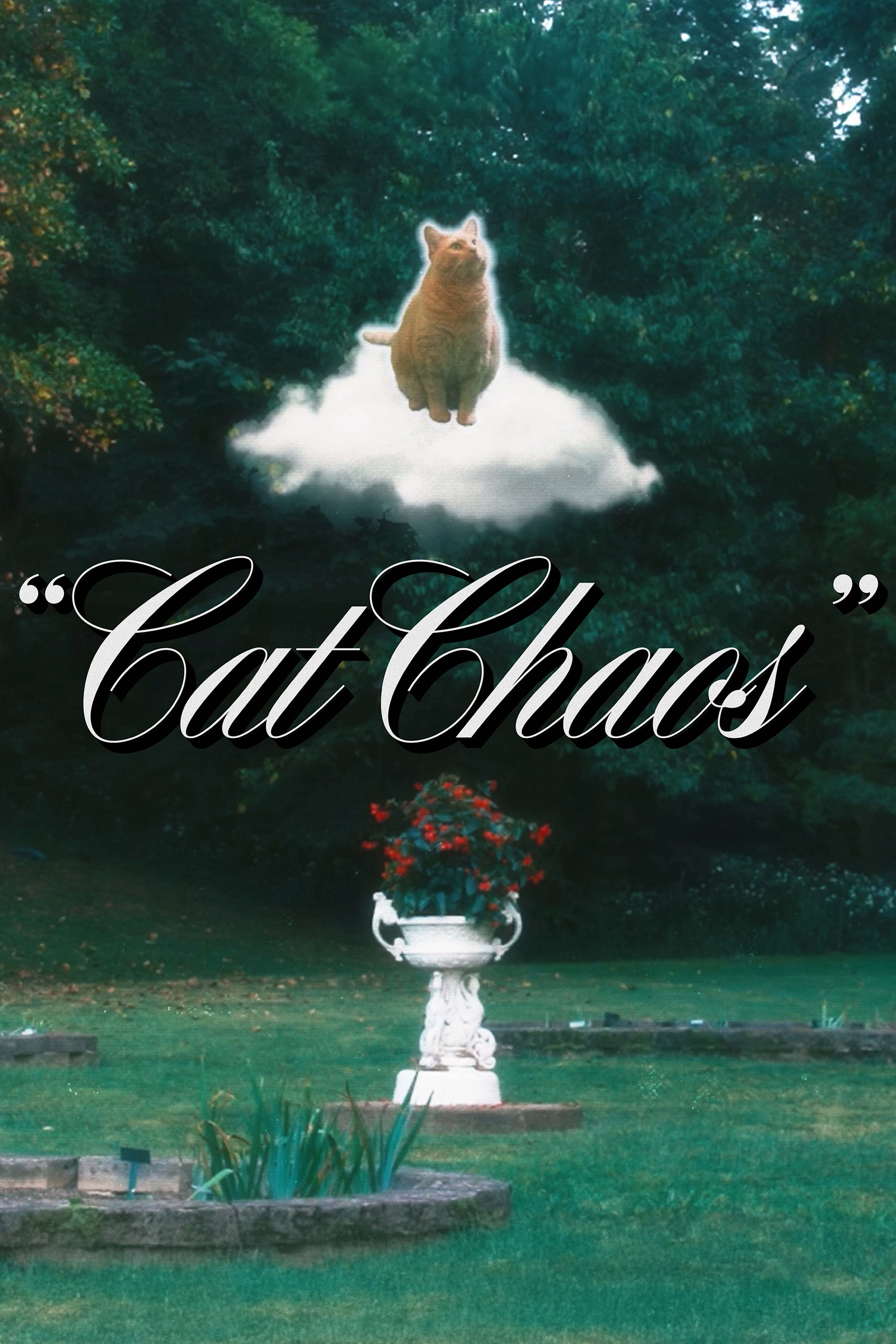 Cat Chaos