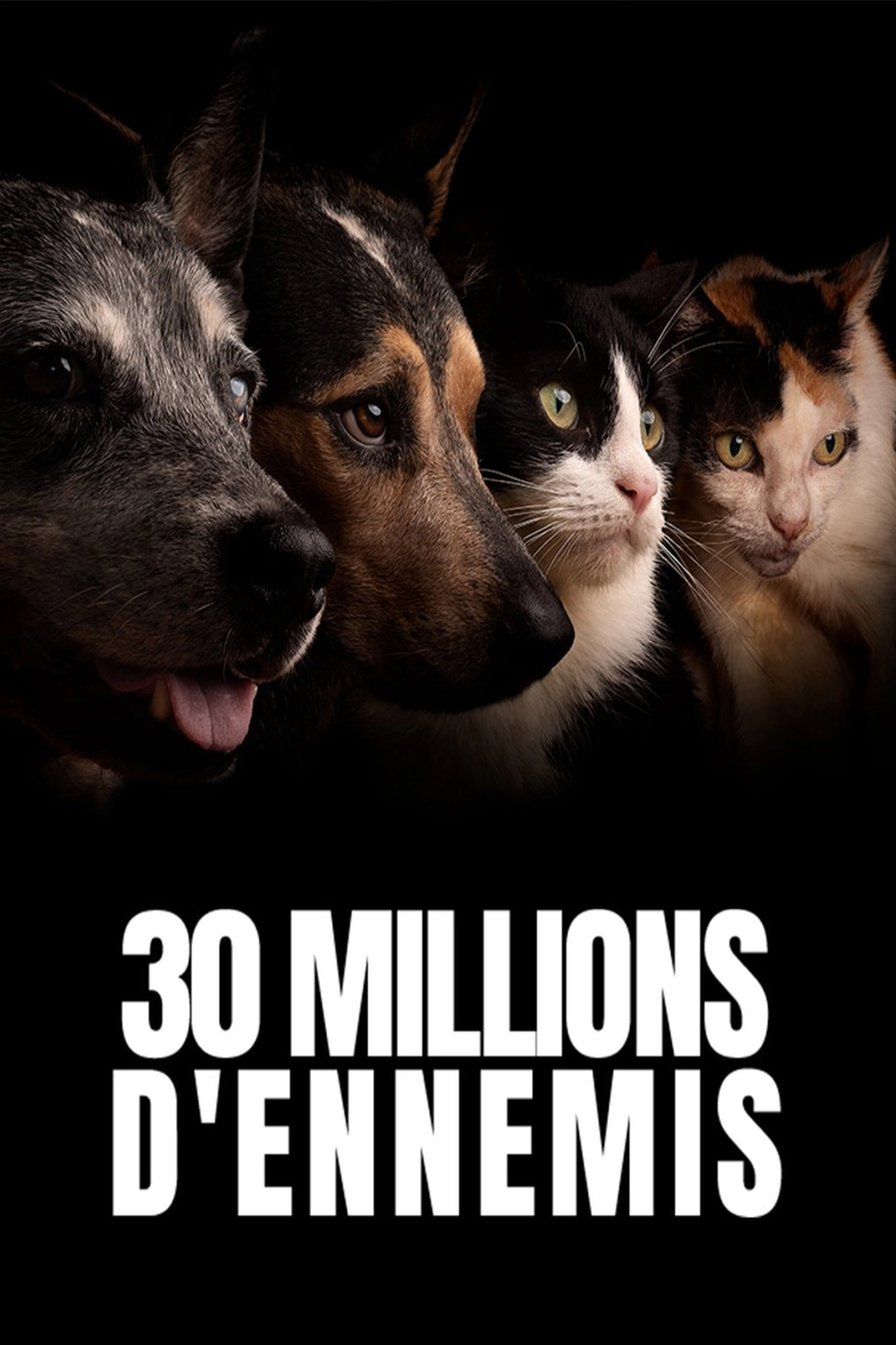 30 millions d'ennemis