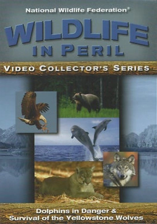 Wildlife in Peril