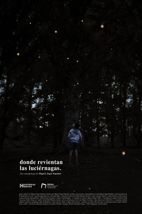 Where the fireflies burst