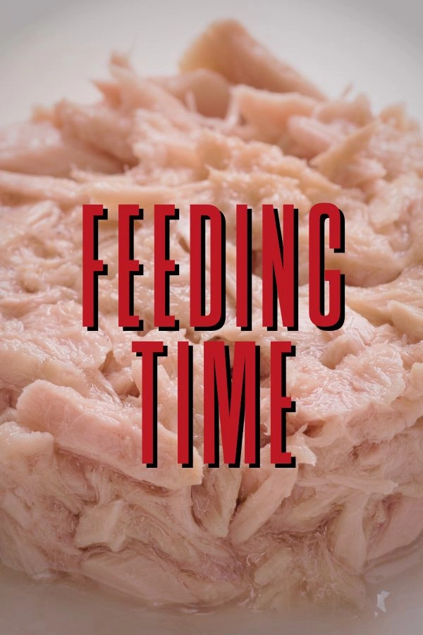 Feeding Time