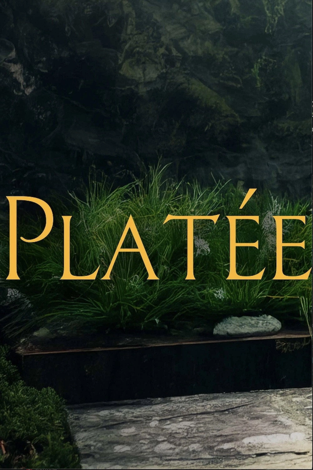 Platée