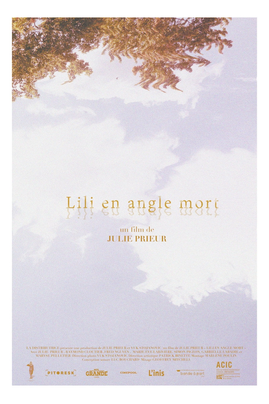 Lili en angle mort