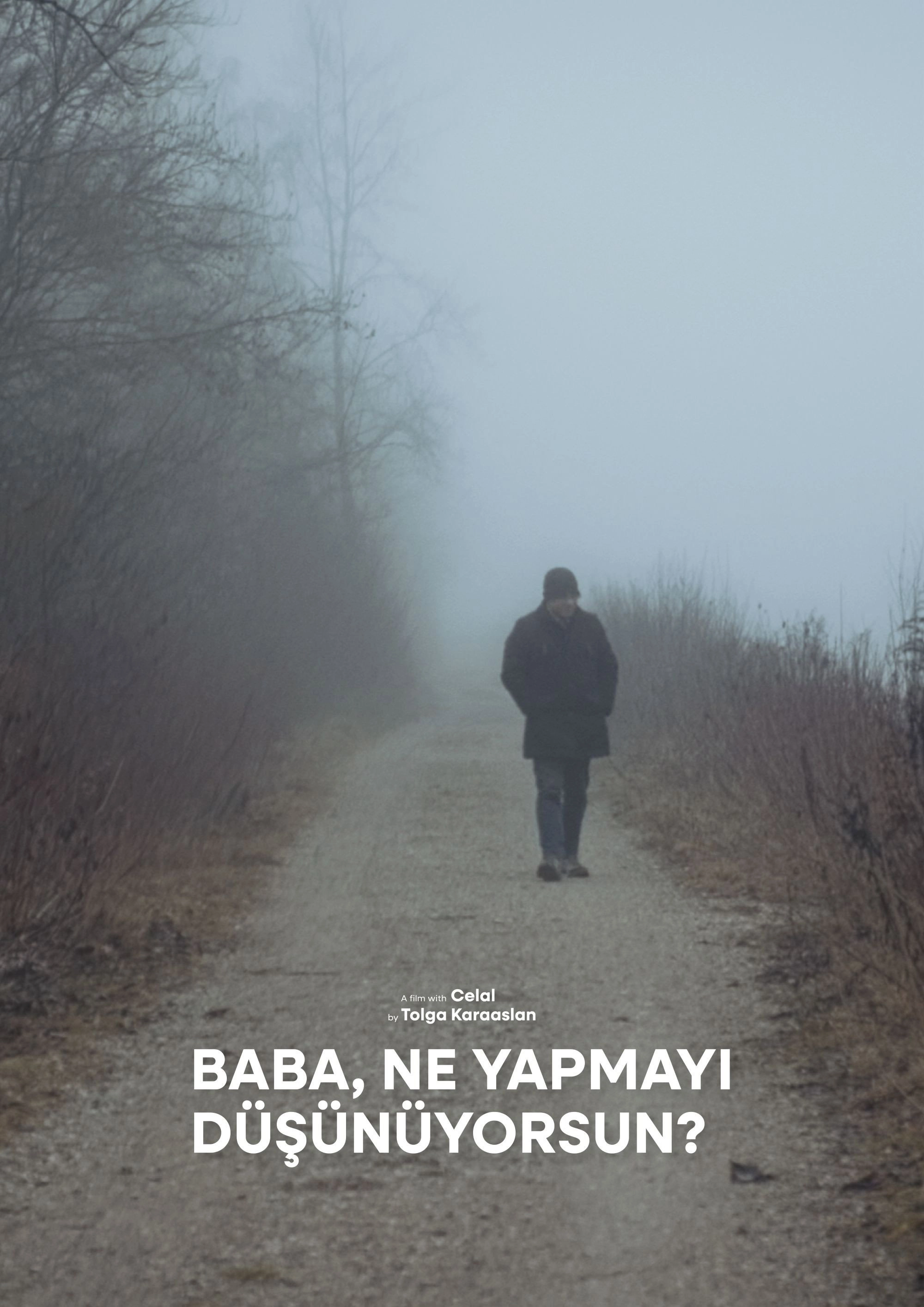 Baba, What's Your Plan?
