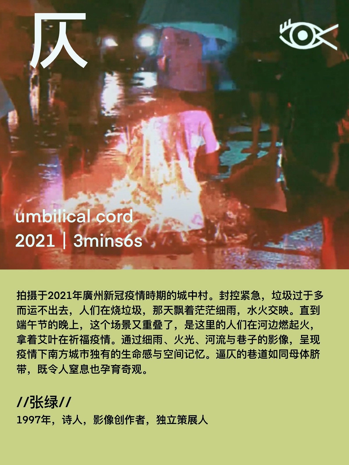 umbilical cord