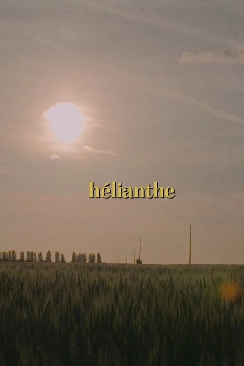 Hélianthe