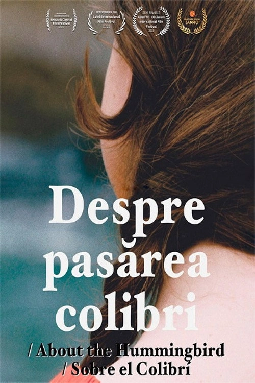 Sobre el colibrí