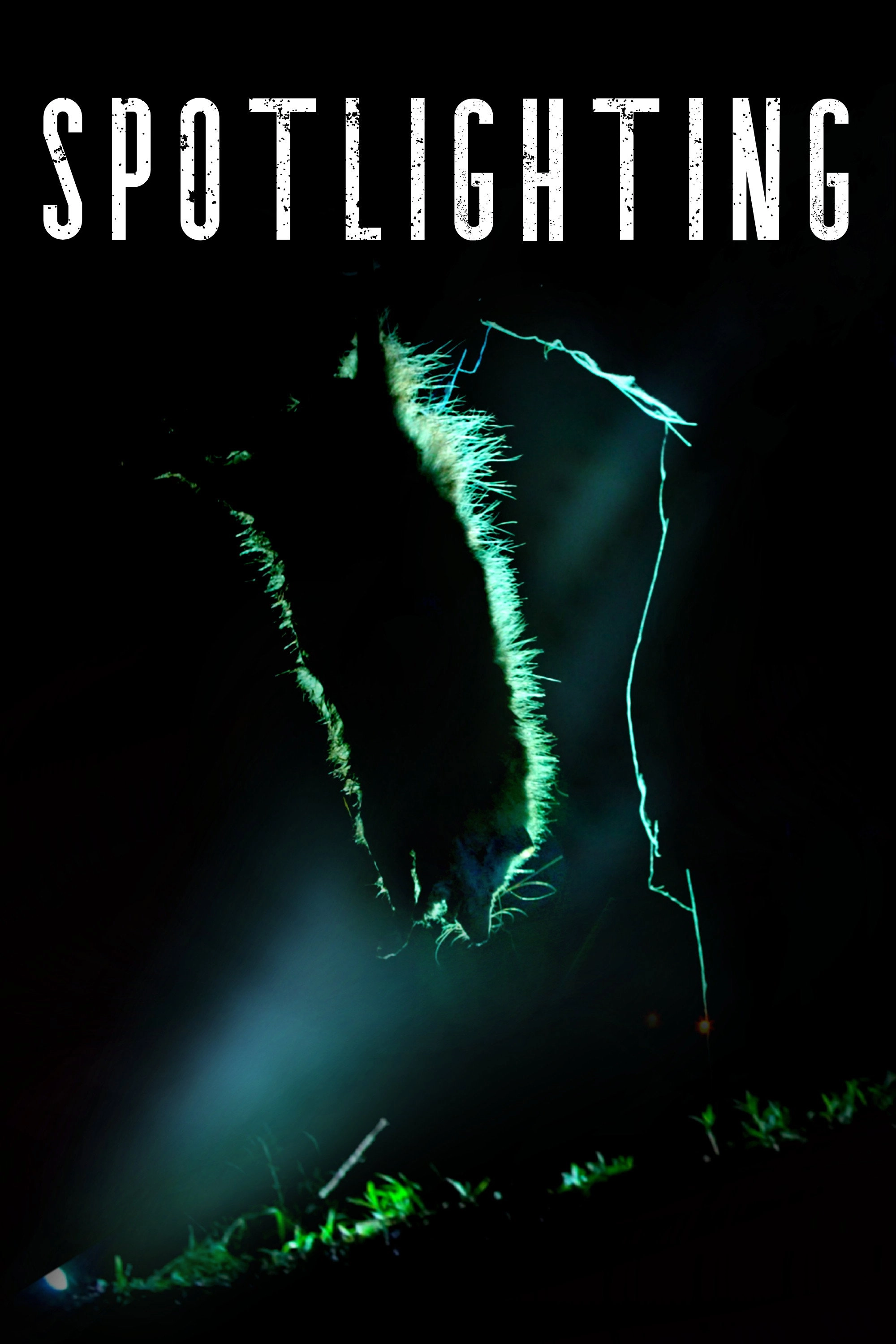 Spotlighting