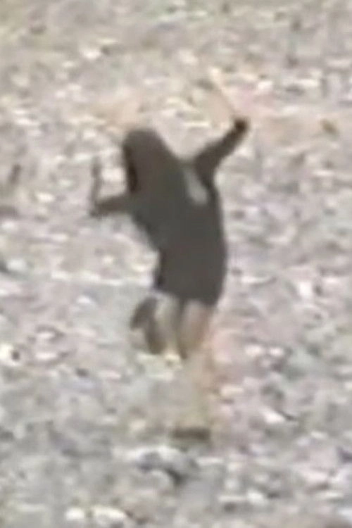 Plutonium Dancer