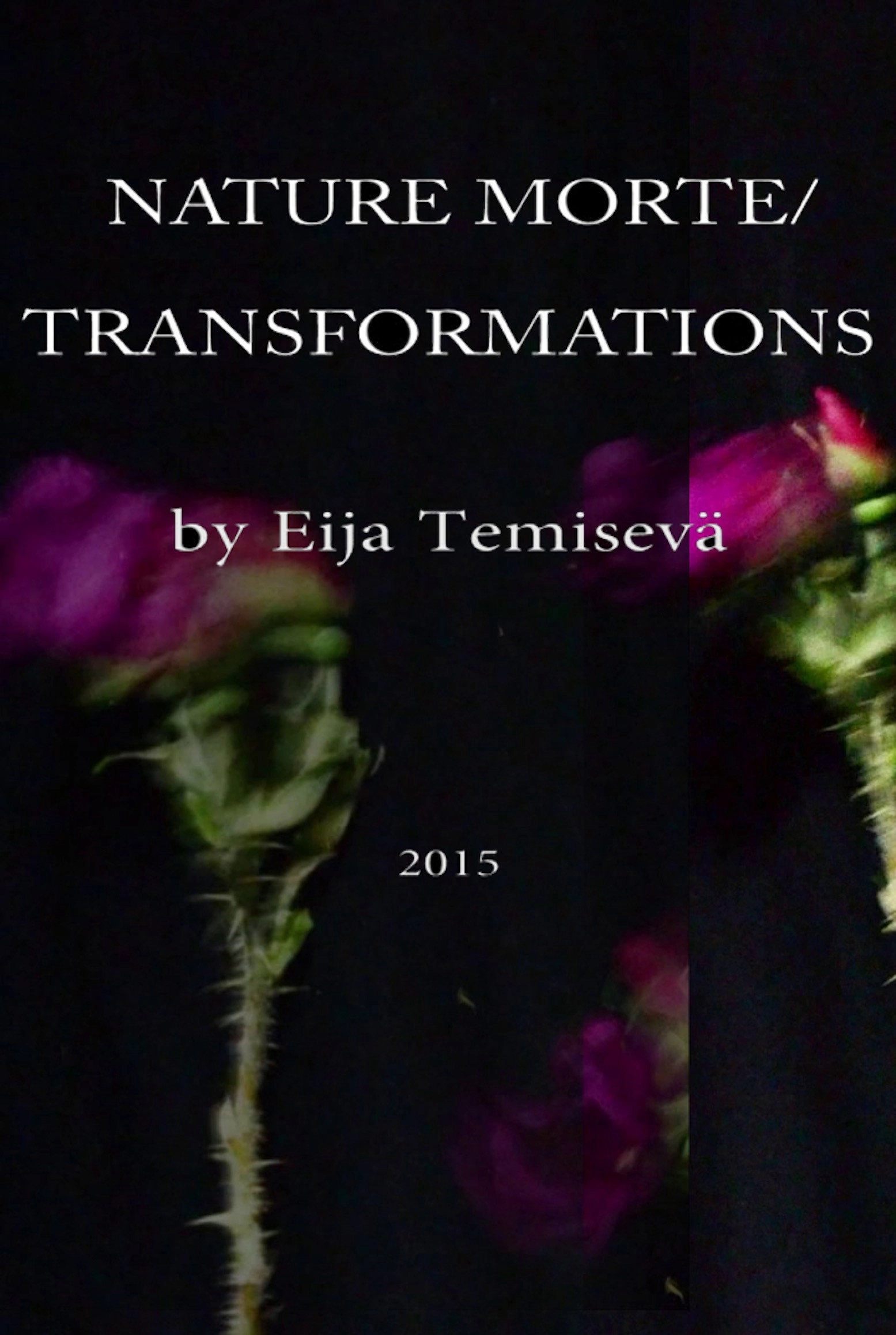 Nature Morte: Transformations