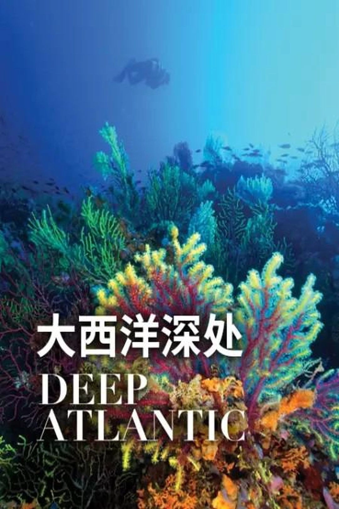 Deep Atlantic