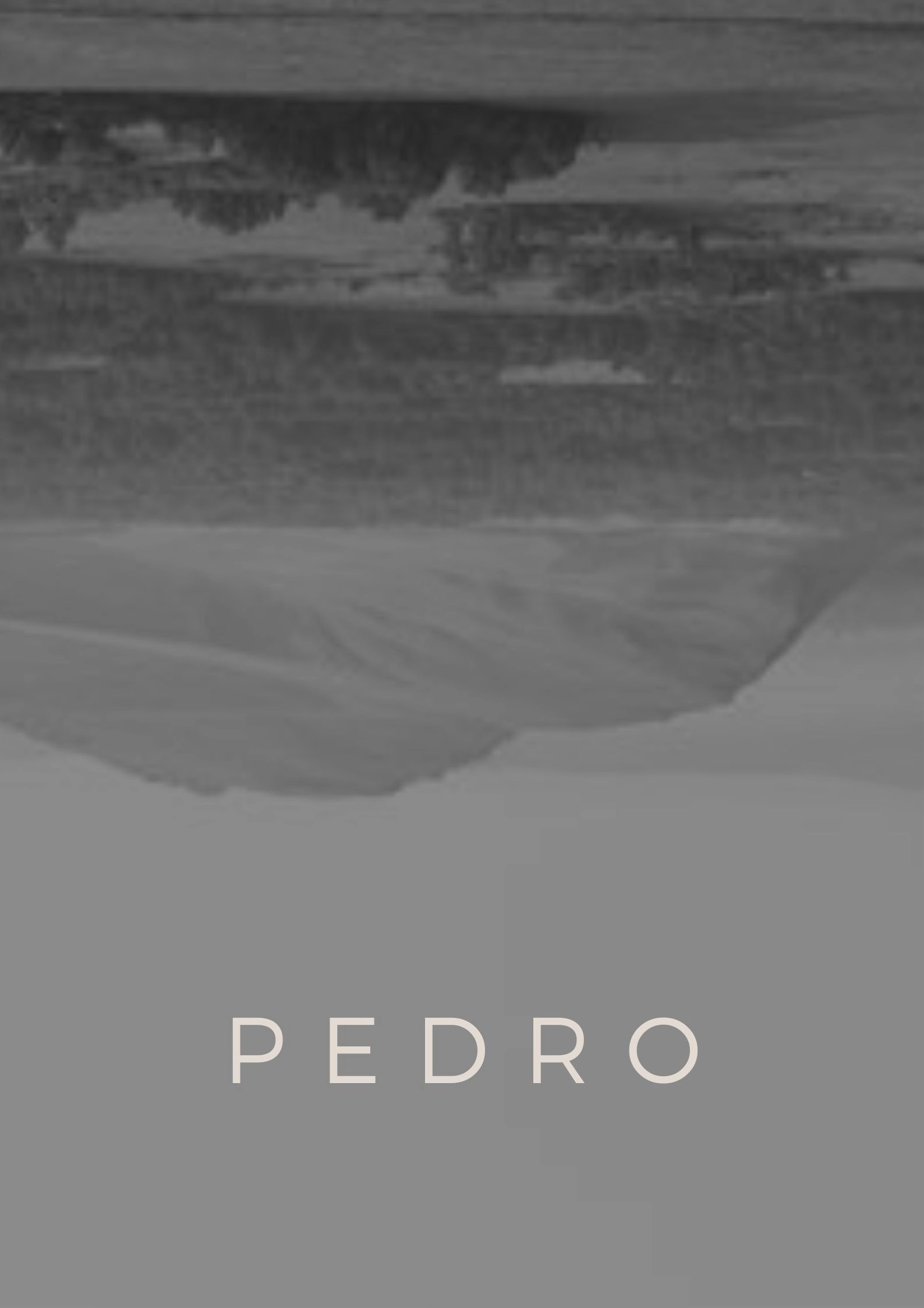 Pedro